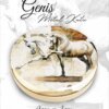 at desenli geniş metal kutu