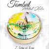 istanbul desenli tombul metal kutu
